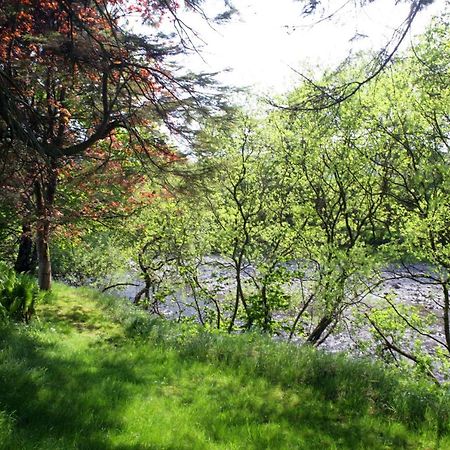 Westerkirk Mains Villa Bentpath Dış mekan fotoğraf